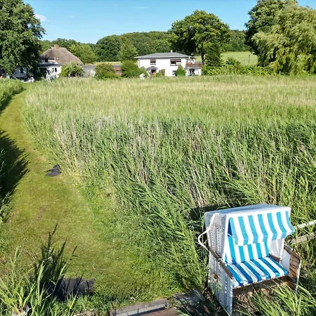 Seeblick - Apartment